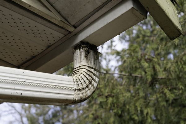 Cost of Roof Drain Replacement in Van Nuys