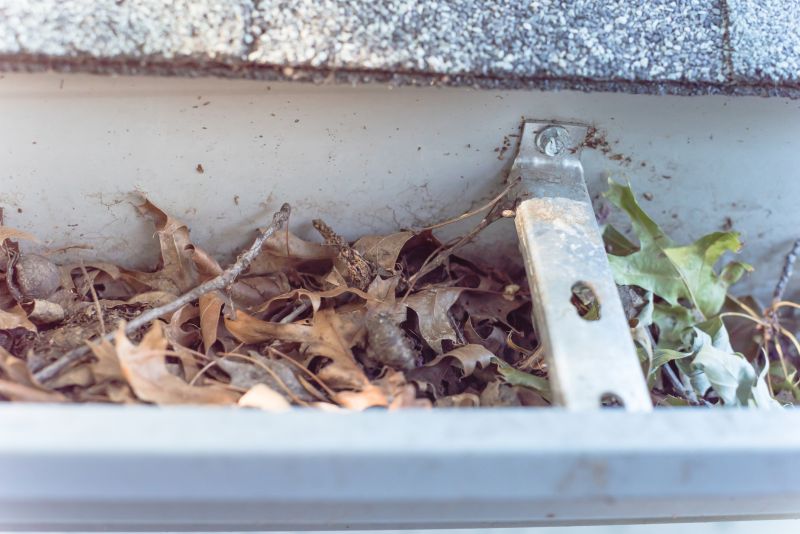 Clogged Gutter Blockages
